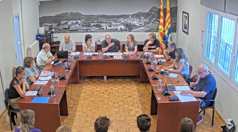 Ple de 28 de juliol de 2022