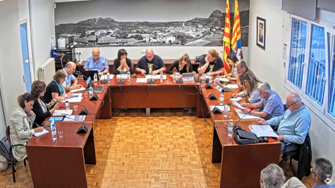 Ple de 24 de maig de 2022