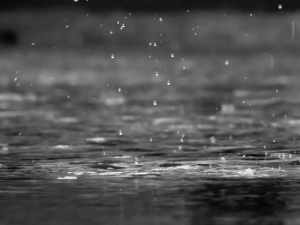 Pluja. Foto de Reza Shayestehpour, a Unsplash.