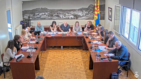 Ple ordinari de 28 d'abril de 2023