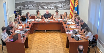Ple ordinari de 26 de juny de 2025