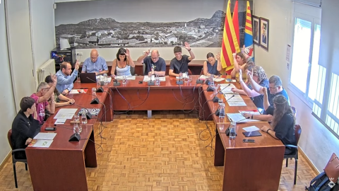 Ple extraordinari de 7 de juliol de 2023