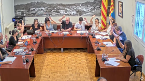 Ple de 25 de juliol de 2024