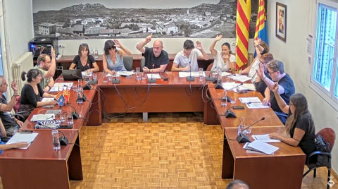 Ple de 25 de juliol de 2024