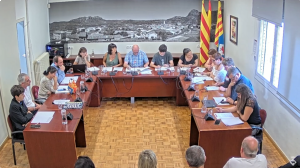 Ple de 27 de juny de 2024
