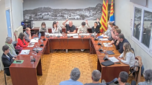Ple de 28 de novembre de 2024