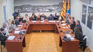 Ple de 19 de desembre de 2024