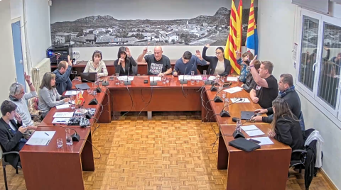 Ple de 19 de desembre de 2024