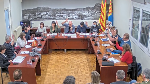 Ple de 30 de gener de 2025