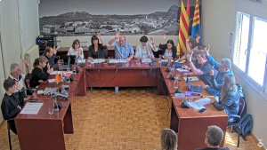 Ple ordinari de 25 d'abril de 2025