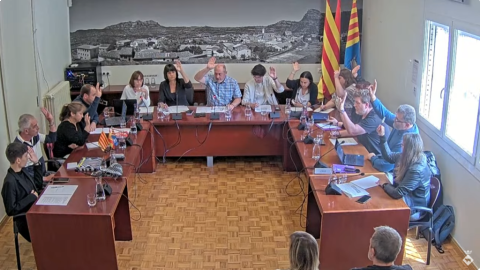 Ple ordinari de 25 d'abril de 2025