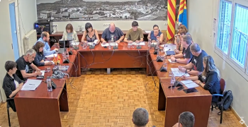 Ple de 29 de maig de 2025