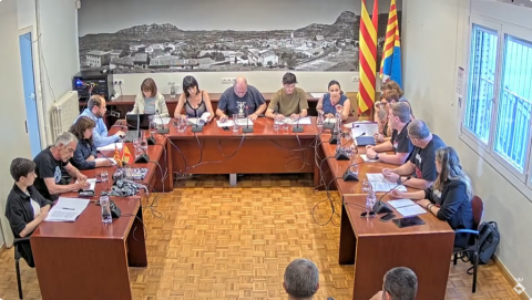 Ple de 29 de maig de 2025