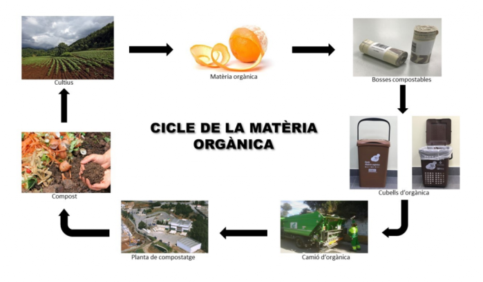 Cicle de la matèria orgànica