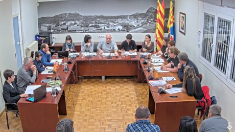 Ple de 29 de febrer de 2024
