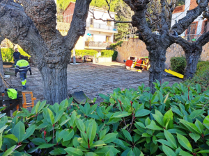 Actuacions en parcs i places